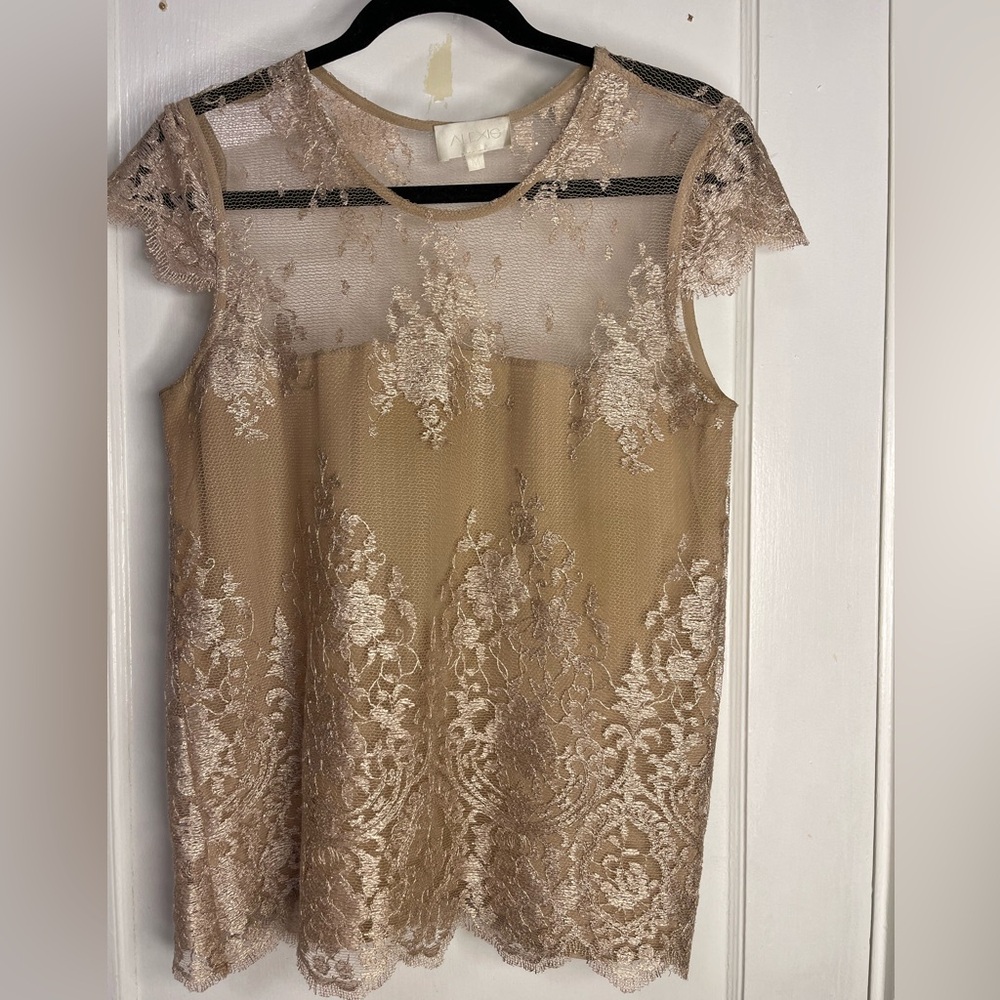 Alexis Lace Overlay Sheet Back Top